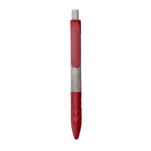 ppal05_f
