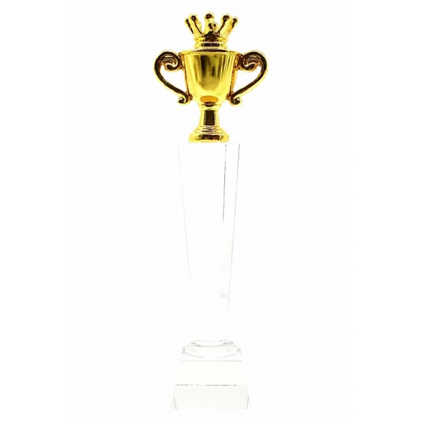 SV41 Trophy