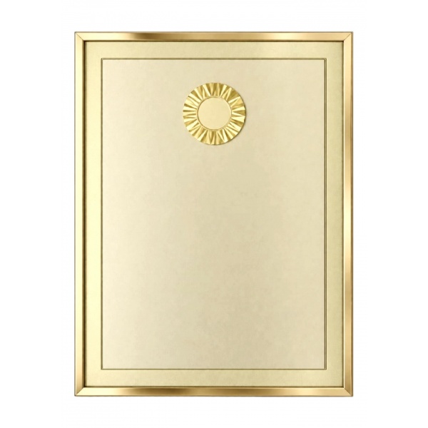 sv5700_gold_1070908343